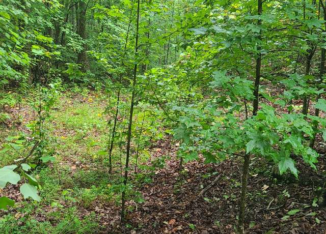 Property at 0 Deer Run Rd, Altamont, TN 37301