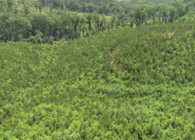 Property at 0 Low Gap Rd, Sugar Tree, TN 38380