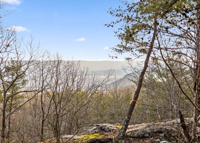 Property at 0 Brockdell Rd, Pikeville, TN 37367