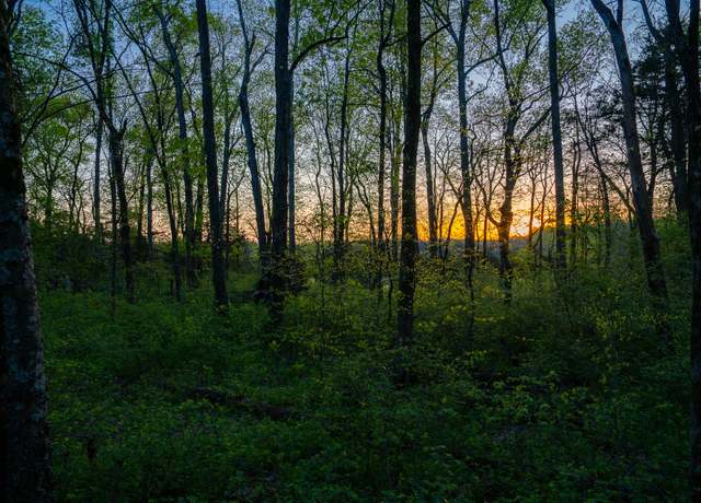 Property at 0 Floyd Rd, Eagleville, TN 37060