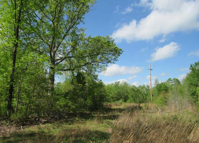 Property at 1 Henley Gardens Ln, Big Sandy, TN 38221