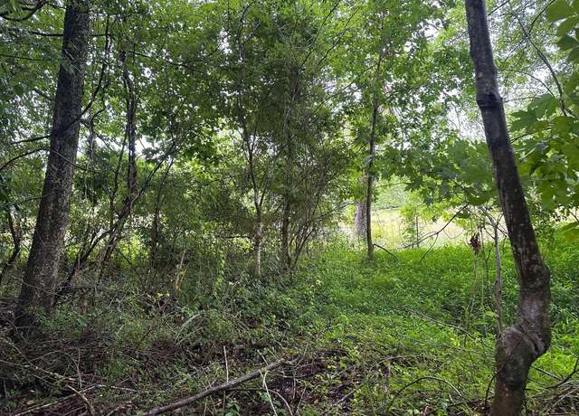 Property at 7 Saw Mill Rd, Palmer, TN 37365