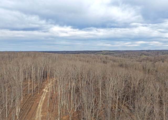 Property at 1L Oak Ridge Rd, Vanleer, TN 37181