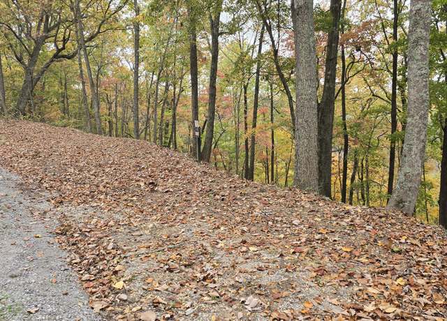 Property at 4 Savannah Dr, Smithville, TN 37166