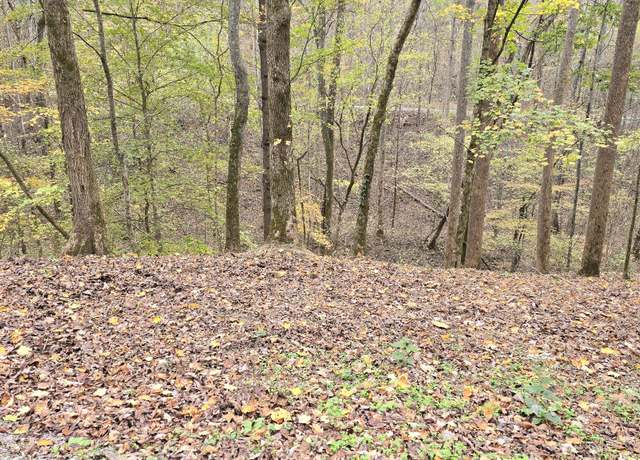 Property at 116 Lake View Dr, Smithville, TN 37166