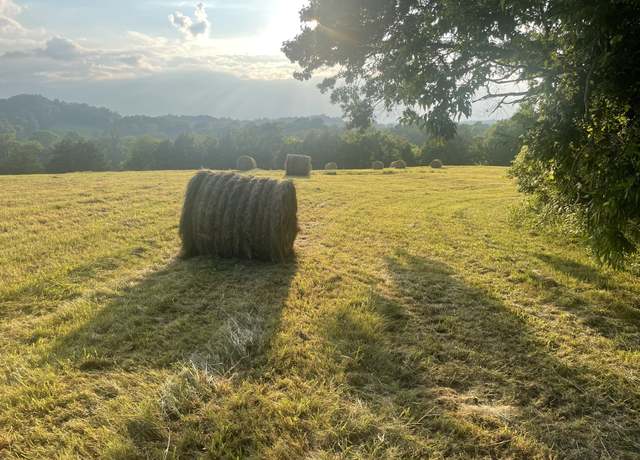 Property at 0 Agnew Rd, Pulaski, TN 38478