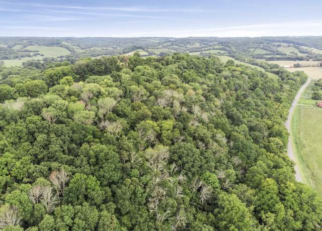 Property at 0 Cobb Hollow Rd, Lynchburg, TN 37352