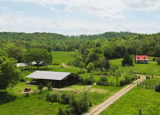 Property at 198 Treece Ln, Clifton, TN 38425