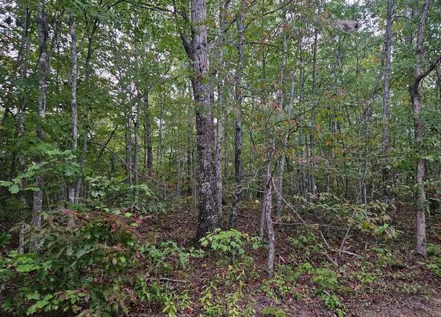 Property at 0 Sells Cemetery Rd, Wilder, TN 38589