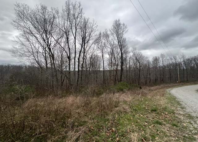 Property at 0 Shine Dr, Waverly, TN 37185