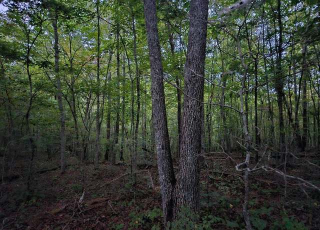 Property at 0 Sandy Rd, Wilder, TN 38589