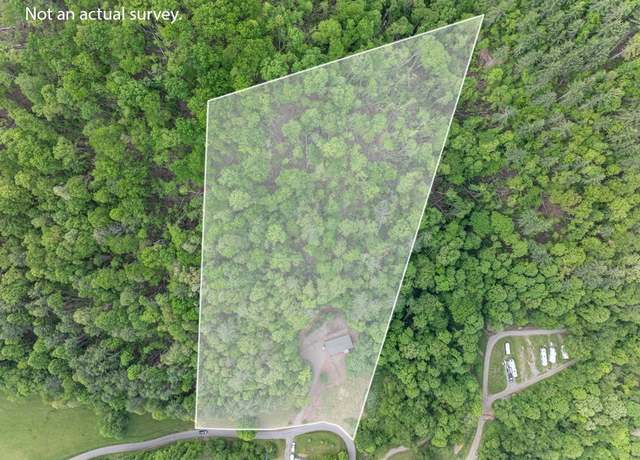 Property at 1000 Mining Town Rd, Mountain City, TN 37683, 3 beds, 2 baths