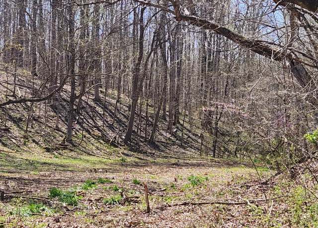 Property at 0 Lowery Cemetery Rd, Stewart, TN 37175