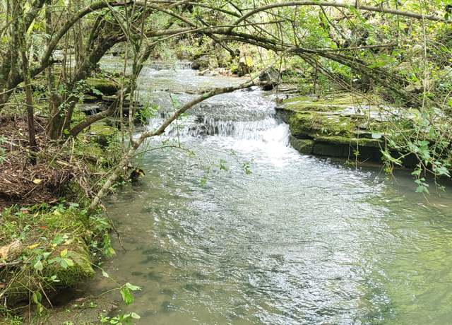 Property at 441 Pumpkin Hollow Rd, Liberty, TN 37095