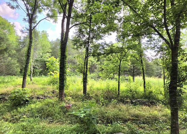 Property at 441 Pumpkin Hollow Rd, Liberty, TN 37095
