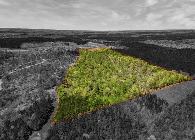 Property at 0 Cedar Grove Rd, Iron City, TN 38463