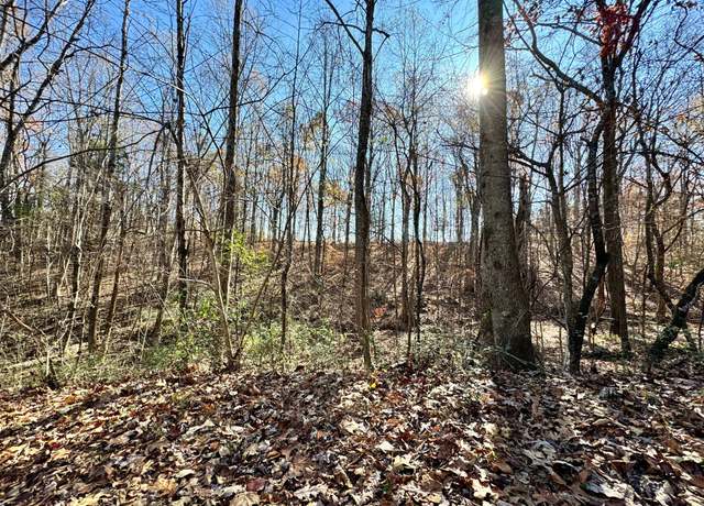 Property at 0 Carl Taylor Rd, Tennessee Ridge, TN 37178