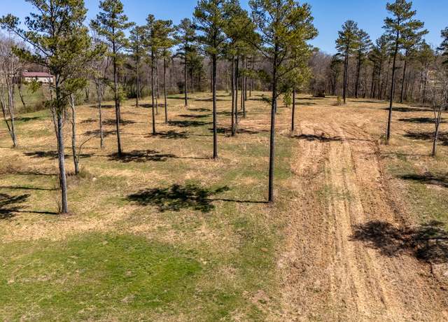 Property at 0 Hwy 43, Summertown, TN 38483