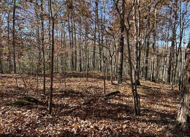 Property at 0 Old Hwy 53, Celina, TN 38551