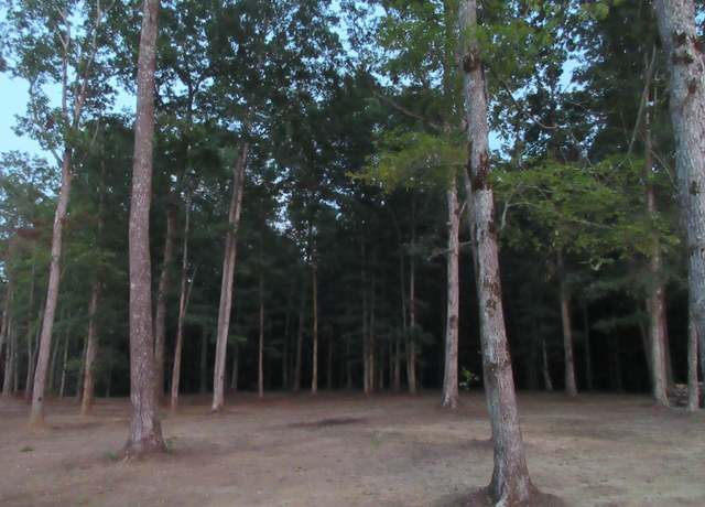 Property at 92 Destineys Way, Gruetli Laager, TN 37339
