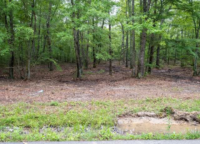 Property at 0 Pepper Rd, Taft, TN 38488