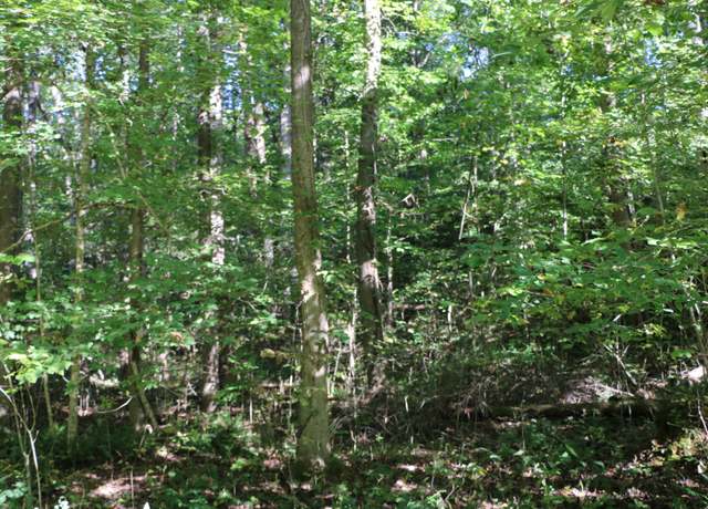 Property at 167 Hermitage Cir, Bumpus Mills, TN 37028