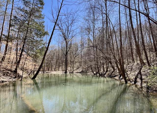 Property at 458 Rock House House Hollow Rd, Westmoreland, TN 37186