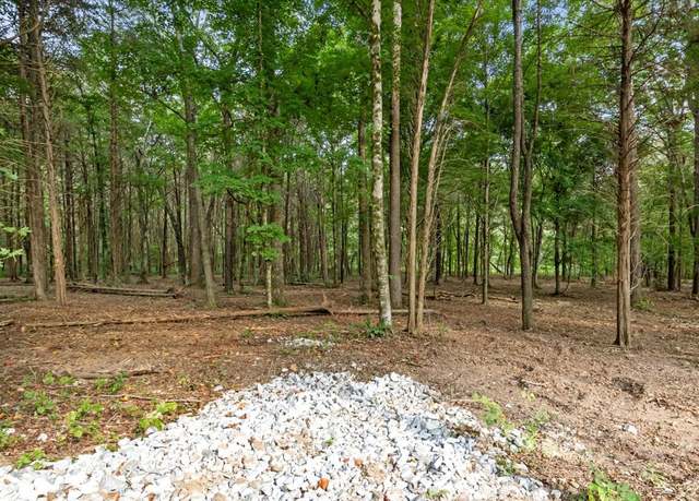 Property at 0 Highway 231, Mc Ewen, TN 37101