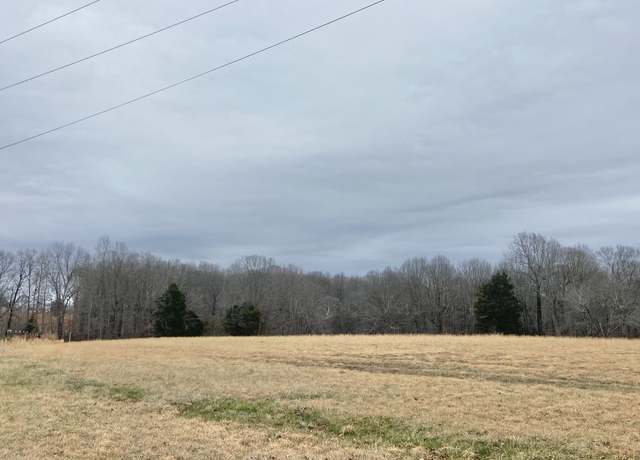 Property at 0 Chisholm Rd, Iron City, TN 38463