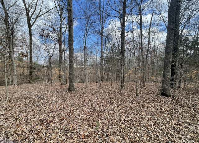 Property at 0 Highway 48, Cumberland Furnace, TN 37051