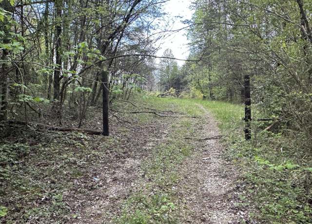 Property at 556 Lee Hargis Rd, Gruetli Laager, TN 37339