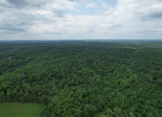 Property at 0 Turkey Creek Rd, Waverly, TN 37185