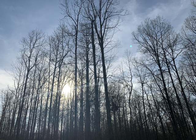 Property at 1385 Ridgewood Dr, Mc Ewen, TN 37101