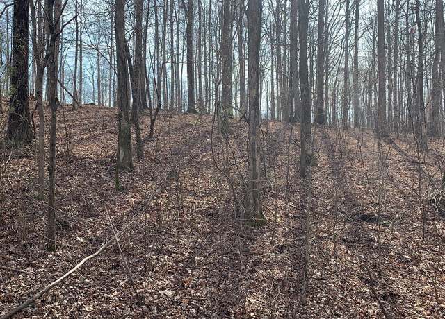 Property at 1385 Ridgewood Dr, Mc Ewen, TN 37101