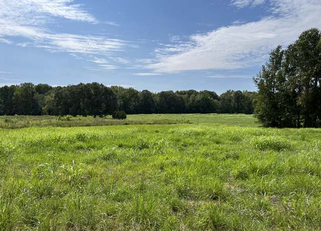 Property at 0 Goldston Springs Rd, Puryear, TN 38251