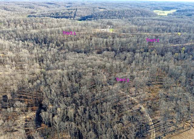 Property at 3L Oak Ridge Rd, Vanleer, TN 37181