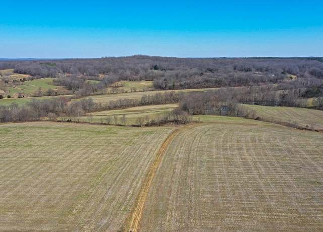 Property at 0 Dale Rd, Henry, TN 38231