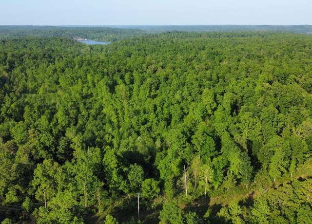 Property at 0 Brodies Landing Rd, Parsons, TN 38363