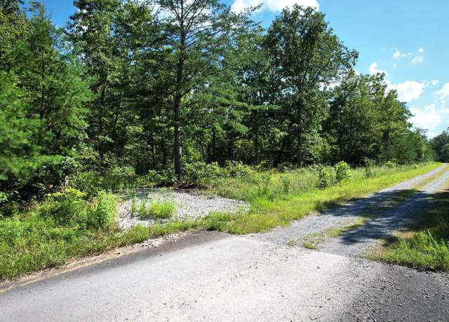 Property at 0 Big Bluff View Rd, Pikeville, TN 37367