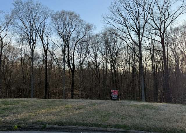 Property at 168 Steeple Ridge Way, Clarksville, TN 37043