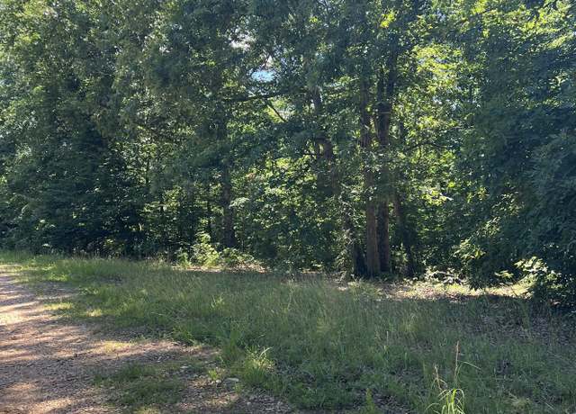 Property at 63 Charlsie Ln, Stewart, TN 37175