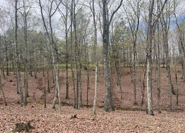 Property at 0 Willie Mauldin Rd, Lutts, TN 38471