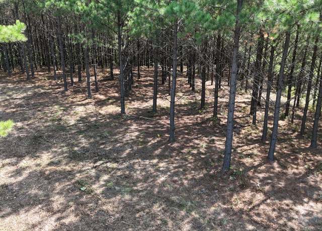 Property at 3722 Old Hohenwald Rd, Linden, TN 37096