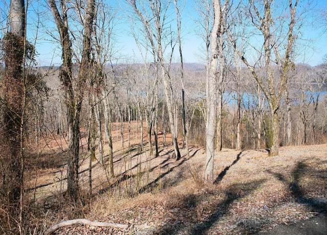 Property at 220 Wilson Cir, Smithville, TN 37166
