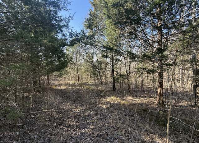 Property at 0 Grays Chapel Rd, Southside, TN 37171