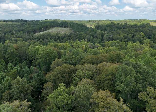 Property at 0 Freedom Rdg, Indian Mound, TN 37079