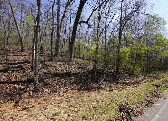 Property at 0 Bill Brake Rd, Dover, TN 37058