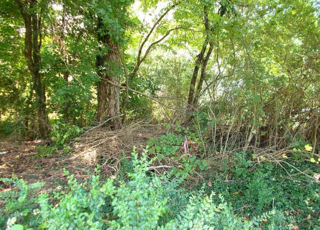 Property at 0 W Walnut St, Dickson, TN 37055