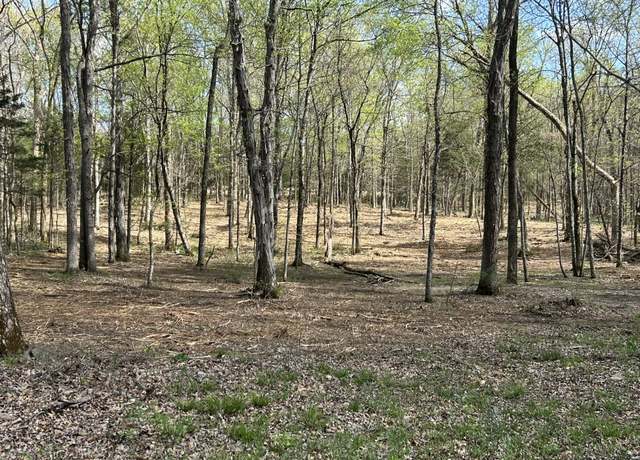 Property at 0 Millersburg Rd, Christiana, TN 37037