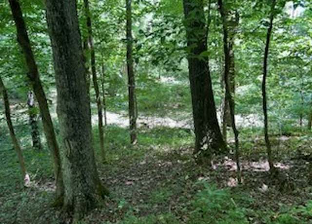 Property at 0 Hwy 64 E Frankewing Tn 38459, Frankewing, TN 38459